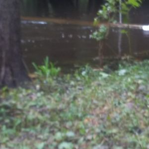 Meet your Posher, Jane